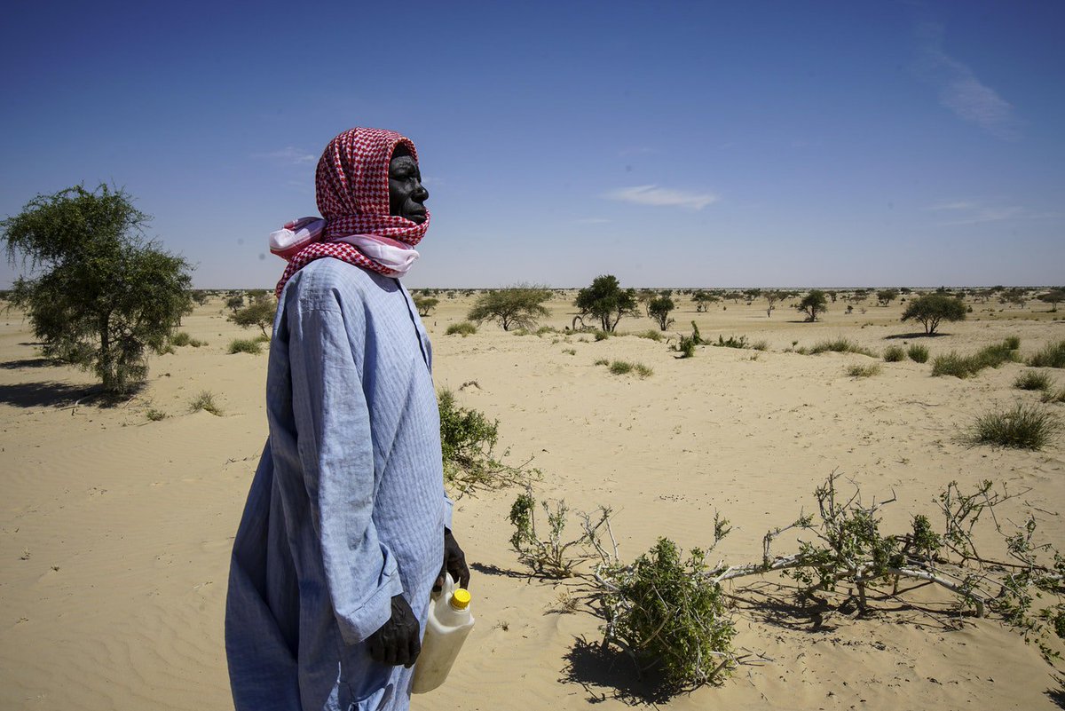 Depuis le début des années 1970, le lac Tchad a perdu 90% de sa superficie originale, une diminution due à la gestion non-durable de l’eau et au #ChangementClimatique - Un reportage du <a href="/pnudfr/">ONU Développement</a> bit.ly/2zcQakB  #Tchad #eau