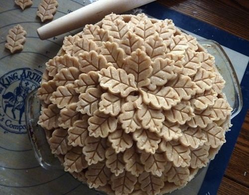 Daily Yers tweet media