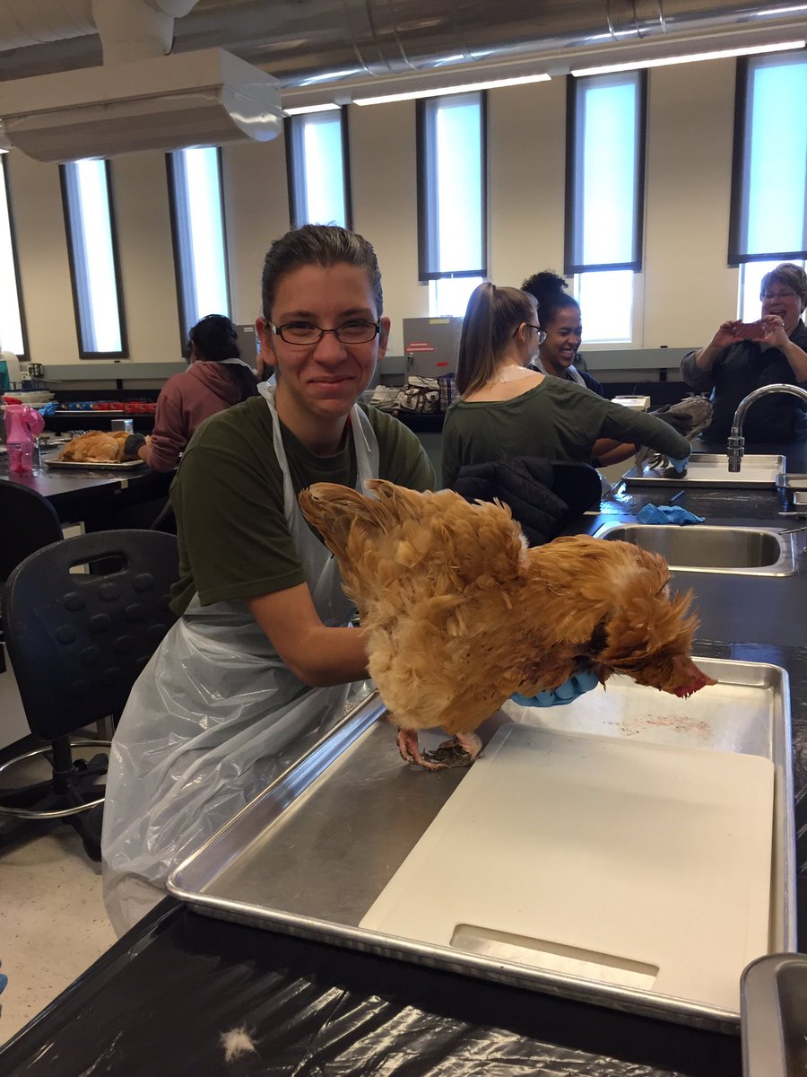 LCICareerNews's tweet photo. Getting ready for the dissection. College Cruisin' Ag-Sciences #LCI @LethCollege @LethSD51 https://t.co/AsreNDOfyD