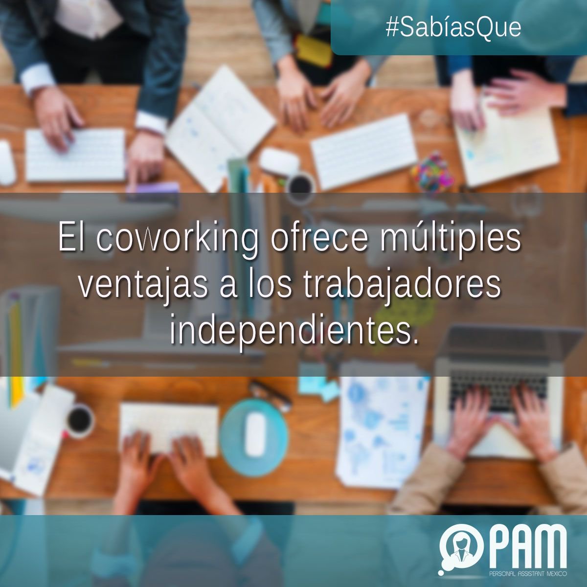 AsistentePam's tweet photo. #SabíasQue el #Coworking es una excelente herramienta de trabajo que reduce costos, elimina distracciones y motiva el intercambio de ideas entre freelancers y emprendedores que conviven en ese espacio de trabajo. #FelizJueves https://t.co/hpCAj3EiFq