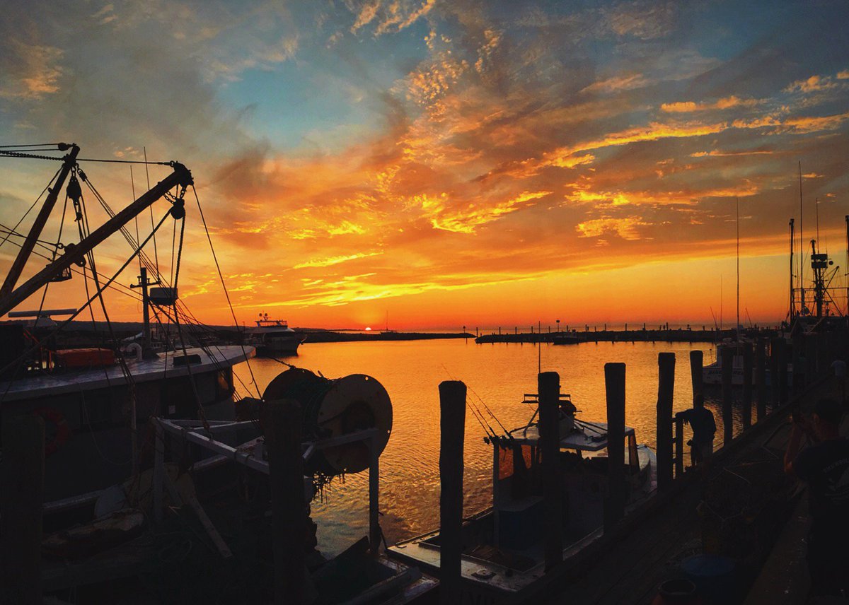 Menemshafishman's tweet photo. Open almost every day and seafood specials coming your way. 508-645-2282 https://t.co/MRkKr96gUm