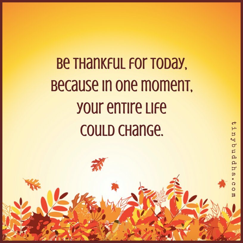 tinybuddha's tweet image. Be thankful for today, because in one moment, your entire life could change.