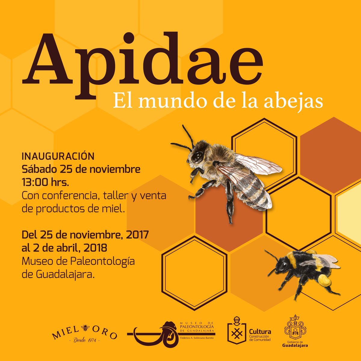 miel_oro's tweet photo. Este sábado cerramos la tienda a las 12pm, ya que inauguramos la exposición "El mundo de las abejas" en el Museo de Paleontología de Guadalajara. Los esperamos!!!!
#bees #museum #exposition #arts #culture #nature #fun #family #friends #learning https://t.co/HP9KGrPpXC
