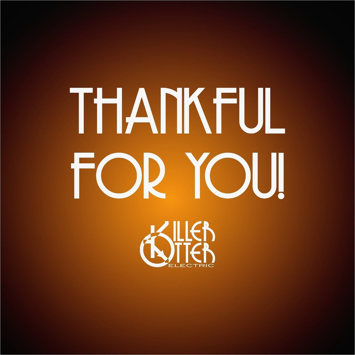 To anyone who has bought a pedal, asked a question, followed Killer Otter Electric, or showed support in any other way: Thank you! I couldn't keep doing this if it wasn't for you. Happy Thanksgiving!

- Matt