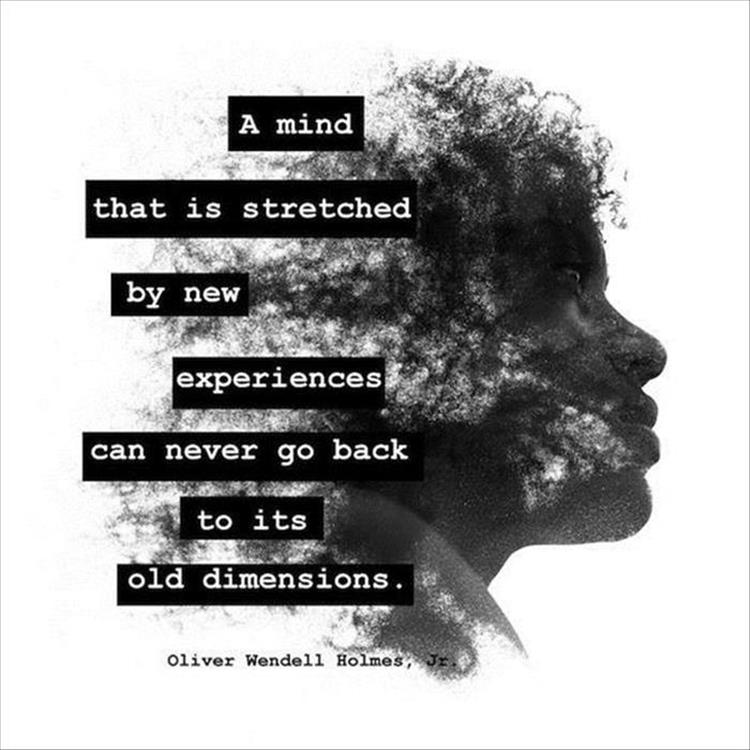 #Quote #StretchYourMind #OliverWendellHolmes