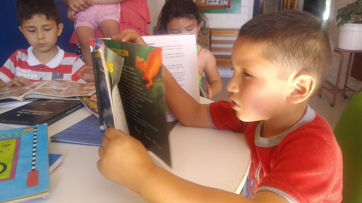 NikoRoman2's tweet photo. Gracias @MuniLaPintana! Con el bibliomovil se fomenta la cultura lectora de los niños y niñas @fundapintana @tererey3 @funfamilias https://t.co/L86DCRehPh