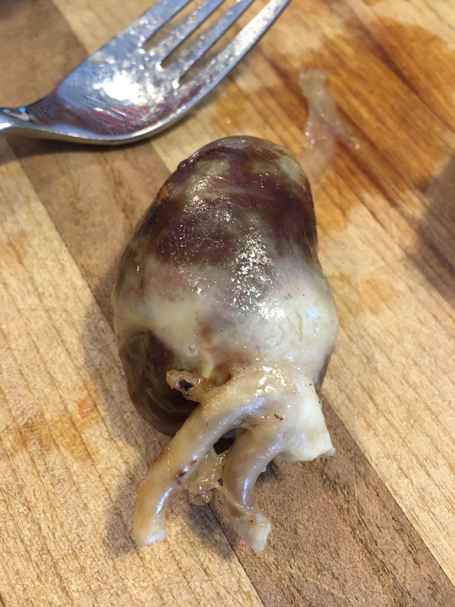 TurkeyTradition's tweet photo. Would you eat it? https://t.co/qWUT1k8Pd6