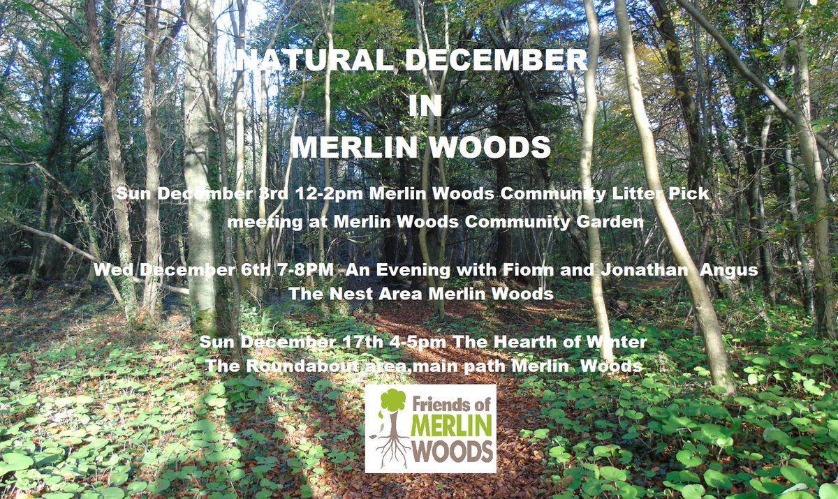 FriendsMerlinWD's tweet photo. Lots of great events for you to be part of in #MerlinWoods #Galway #Ireland #NaturalDecember https://t.co/qXc0g2iuYf