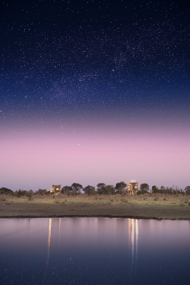 NatSelection1's tweet photo. Who fancies a night at Skybeds right about now?

#safarisofcharacter https://t.co/Cbevh06J1k