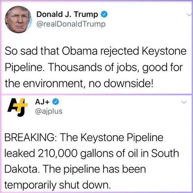 AmieNicoleLICSW's tweet photo. @EdKrassen @rgcainmd @IRdotnet @realDonaldTrump Trump has done nothing but hurt women, minority groups, and the environment. #NoThanksToTrump https://t.co/01KHNypmqA