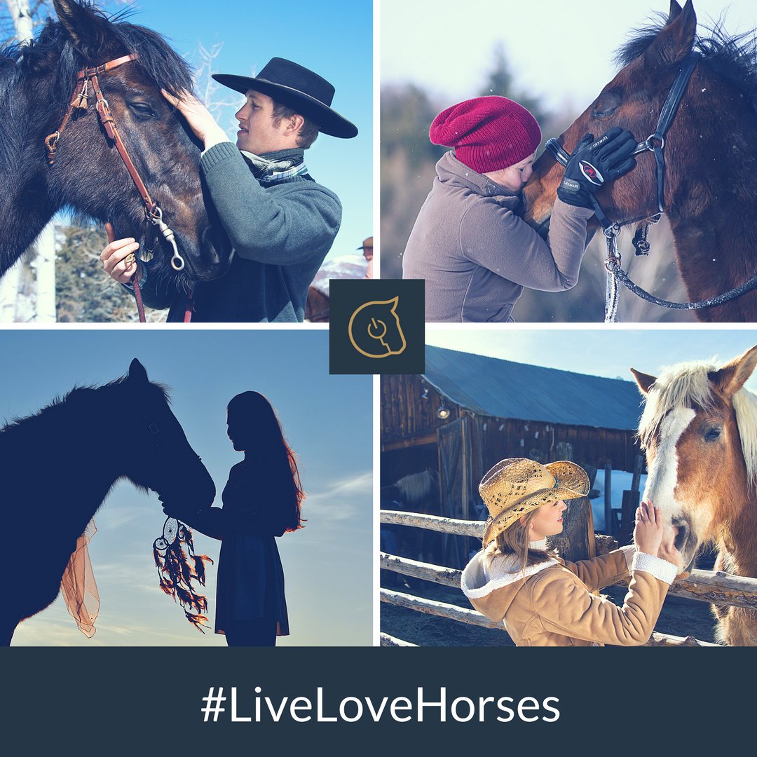 MyHorsePowerApp's tweet photo. Thankful for horses, family and friends. And more horses. Happy Thanksgiving from our Horse Power family to yours! 🍁🦃🍽️🥂
#LiveLoveHorses #RealHorsePower #equestrian #horses #thanksgiving #thanksgiving2017 #love #thanks #thankful #blessed #family https://t.co/jrzO3YvdP1