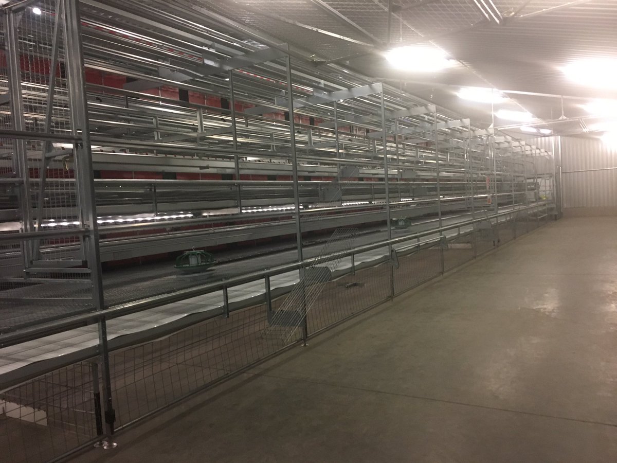 NFU_Poultry's tweet image. Open day: @VencomaticU &amp;amp; @patlynn78 showcasing new multi tier system enabling industry to view Veranda Gallery before birds arrive next week