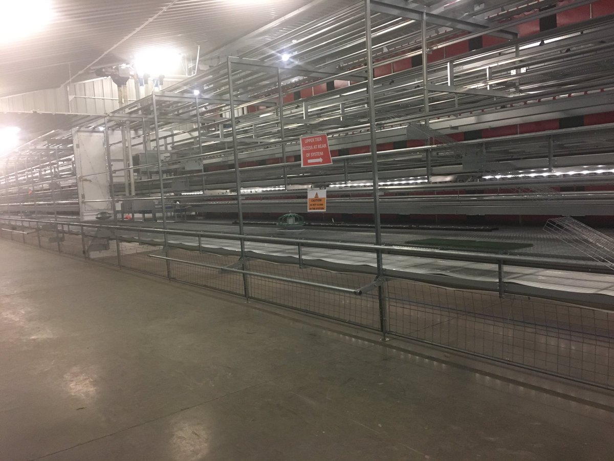 NFU_Poultry's tweet image. Open day: @VencomaticU &amp;amp; @patlynn78 showcasing new multi tier system enabling industry to view Veranda Gallery before birds arrive next week
