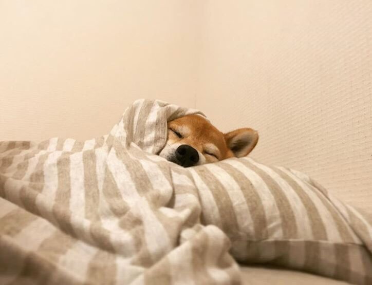 Potrxkmr's tweet photo. Añuñú. https://t.co/TVfzdi3zo2