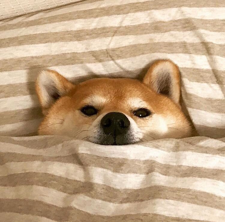 Potrxkmr's tweet photo. Añuñú. https://t.co/TVfzdi3zo2