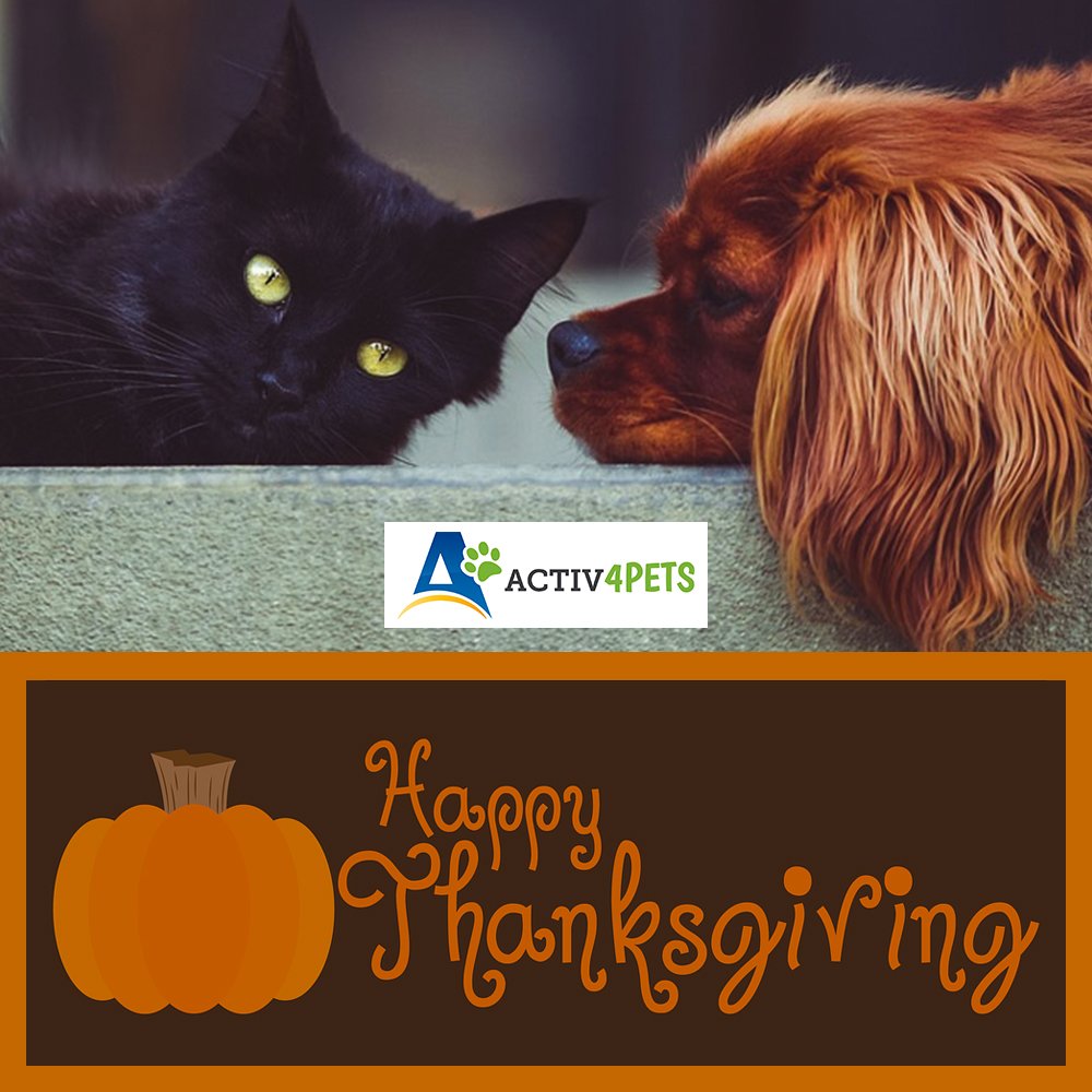 Activ4Pets's tweet photo. Wishing you and your pets a #HappyThanksgiving! https://t.co/bIf7XZfqDK
