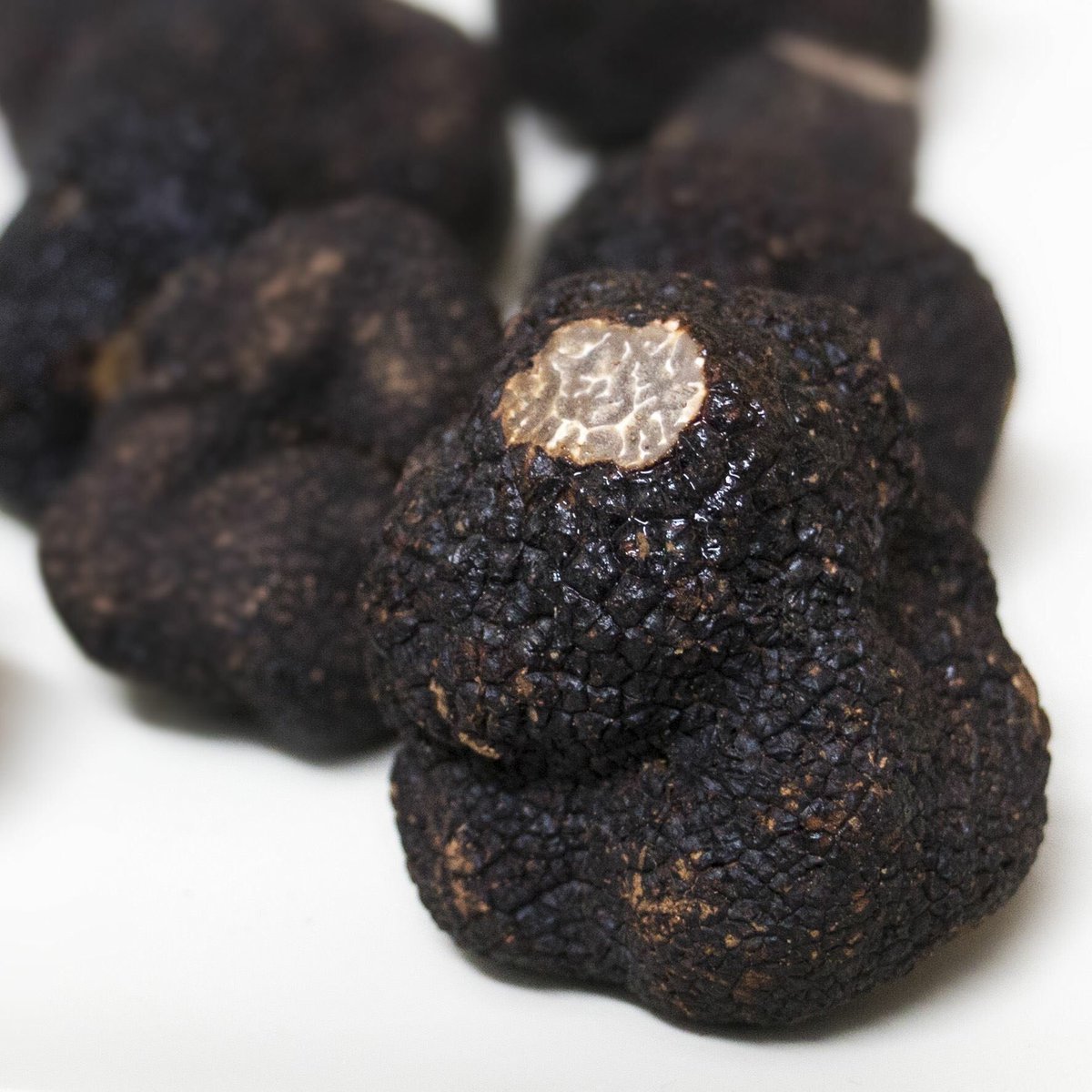 FromageBeaufils's tweet photo. Premiers Brie à la truffe SAMEDI ✌🏻😎...#truffle #cheese #foodlovers #cheesemovers #foodies #foodphotography https://t.co/nwlUiCXKrV