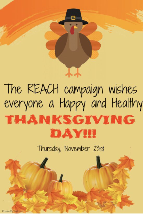 REACH Campaign tweet media