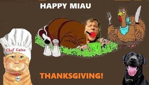 CatsoNemec's tweet photo. HAPPY THANKSGIVING Y'ALL! Silly @imcorinnemec had wrestle with a turkey and has lost... but at least #ChefCatso could make now a #catsolicious lunch! #miau https://t.co/M2fa5IHqdK
