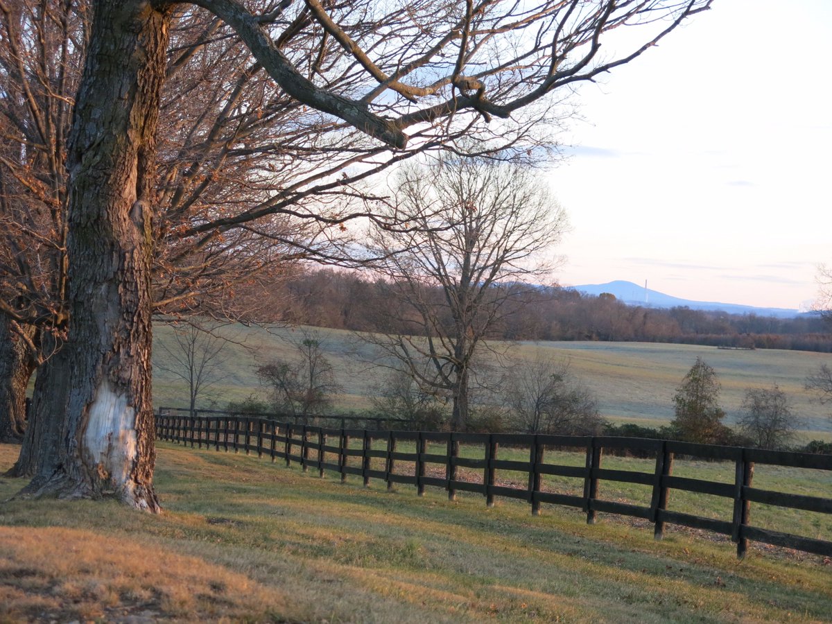 Media Tweets by Loudoun Road Runners (RunLoudoun) Twitter