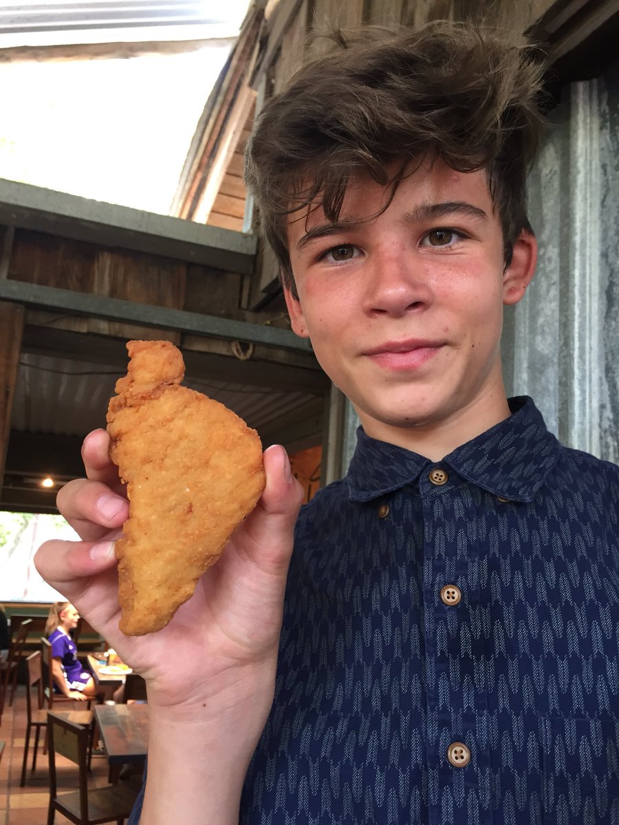 chase_mangum's tweet photo. #HappyThanksgiving. This is not a Turkey but what does this shape look like to you? #PumpkinPie #strangerthings https://t.co/qJ9zmZ2yAi