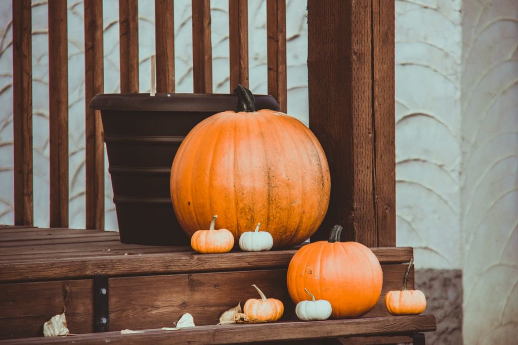 ZenEarthCorp's tweet photo. Happy Thanksgiving to all our partners, vendors, and friends in the US. We hope you have a great day with your loved ones! https://t.co/TmRekyXgWm