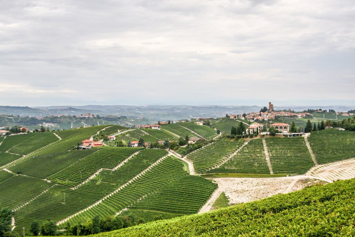 Exu_Mag's tweet photo. L’Altra – Intrygująca dziewczyna z Piemontu https://t.co/0VmXCTuGCq | #BanfiPiemonte #wino #LAltra #BarberadAsti #RodzinaMariani https://t.co/eBcVMXWOeQ