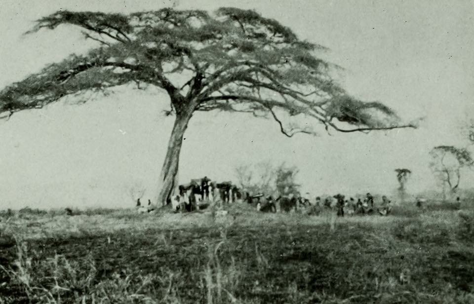 22/ In the subsequent meetings with the Laibon, his Maasai elders and Agïküyü elders, Ainsworth first persuaded the Laibon to disperse his warriors to their manyattas and to surrender the arms and property that were captured from the ill-fated caravan.