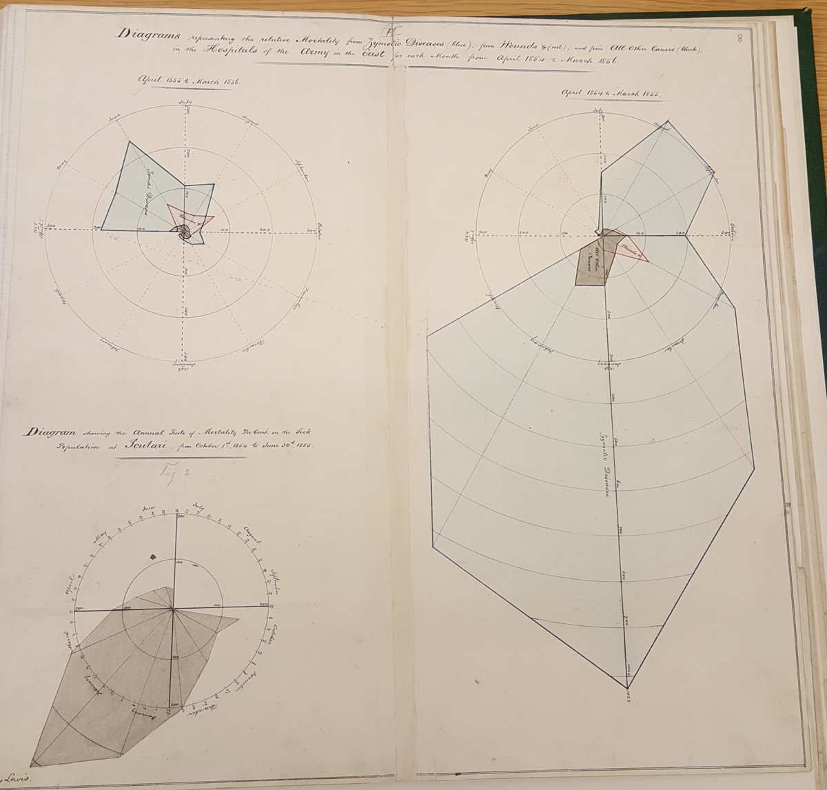BL_ModernMSS's tweet photo. And here are some of Florence Nighingale's statistical visualizations, taken from Add MS 45816 #archivescience #explorearchives https://t.co/PQw2Ua8G3h https://t.co/2r69bFKybV