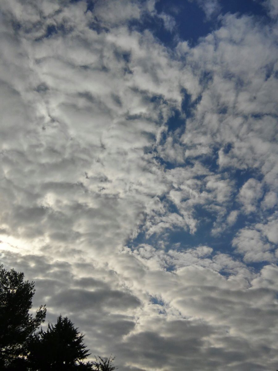 tafudany1's tweet photo. Respiro
il fresco
che mi lascia
l'odore del cielo⛅
Ungaretti
#spostando lo sguardo al cielo...l'incanto!
#gerundi
#scritturebrevi https://t.co/He4ywtV2Pa