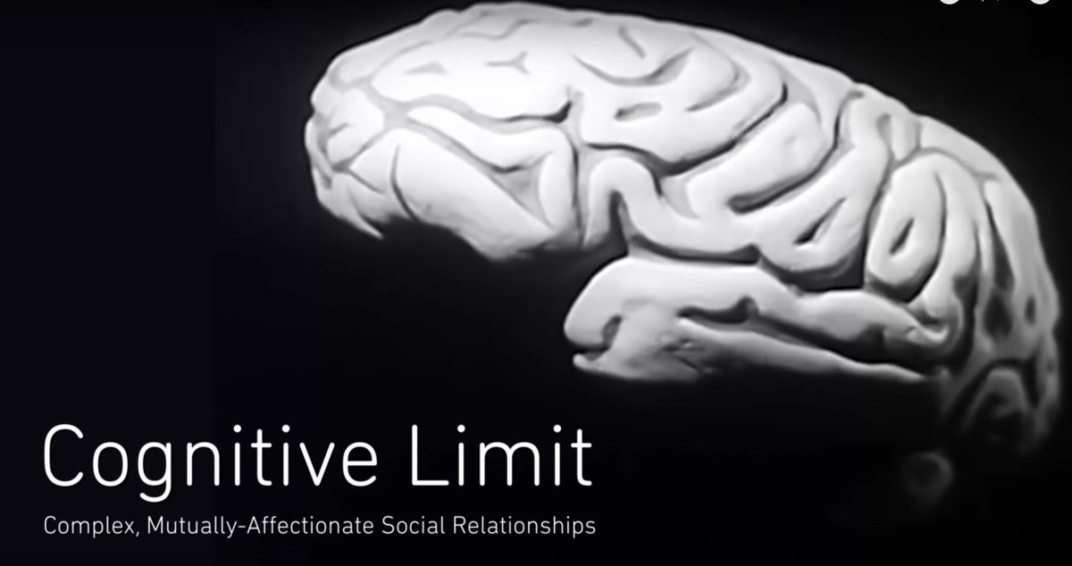 Servibar's tweet image. Hoy aprendí que existe una correlación entre el tamaño de la corteza cerebral y la capacidad que tenemos de socializar.