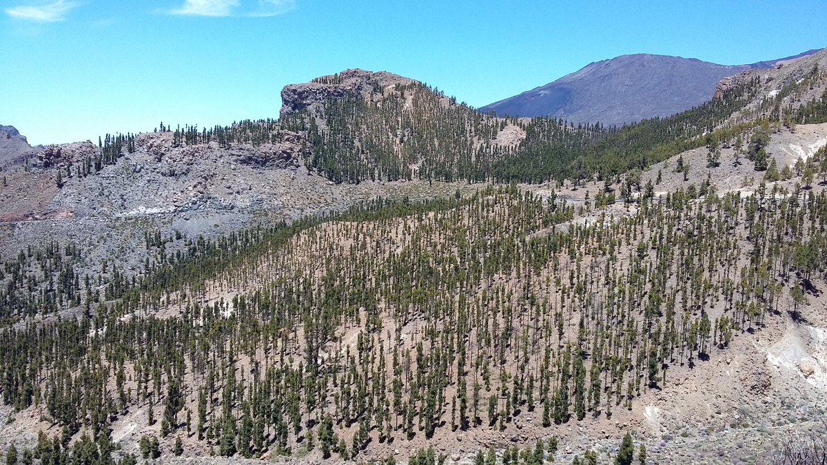 JeffOllerton's tweet photo. Ecologists: can you point me to examples of papers where data from pilot, "proof of concept" studies were presented prior to the results from the main study. I'd like to see how others have done it and cite accordingly. Please RT thanks #ecology https://t.co/RX6aMOuSmz