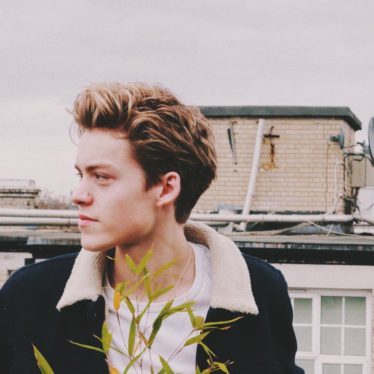 NewHopeReece's tweet photo. In colour 🇬🇧 https://t.co/brzIZ0O7Mx