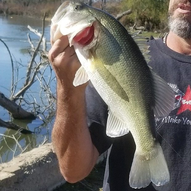 MichaelGrubbs5's tweet photo. @ZOOMBaitCompany your baits rock!! https://t.co/ZqVYPOlQYk