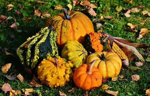 TheRacery's tweet photo. Happy Thanksgiving! #Thanksgiving https://t.co/E2oIUjQekc