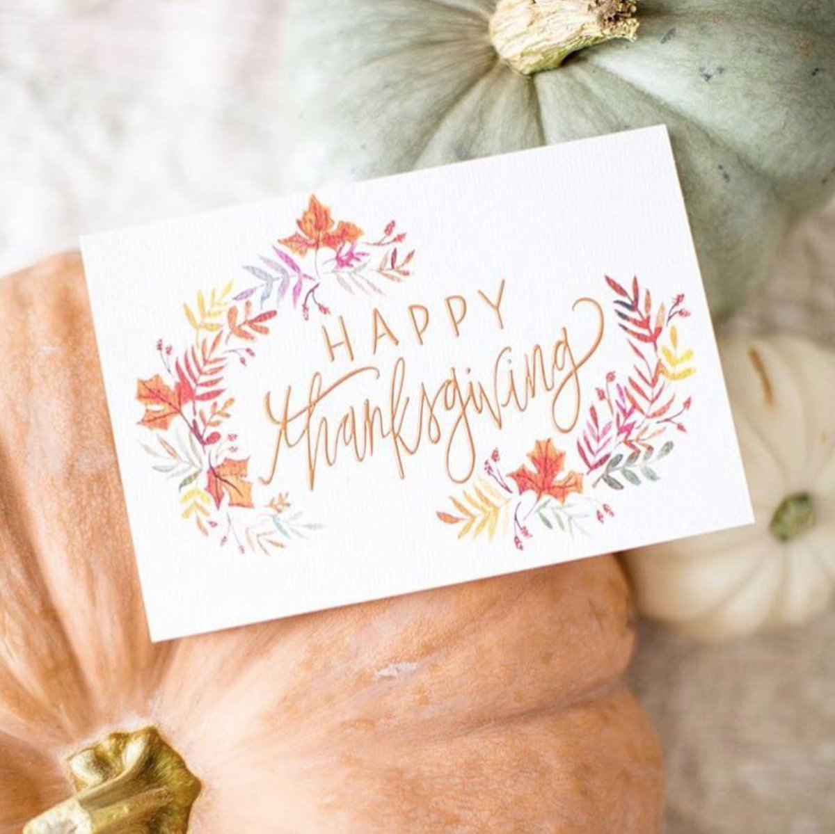SantaMonicaPlc's tweet photo. Hope everyone has a wonderful Turkey Day 🦃 🍁 Photo by Shannon Kirsten for #HallmarkSignature https://t.co/snEMm9QA36
