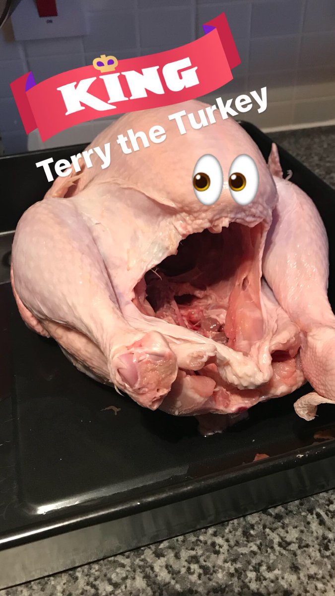 benquain's tweet photo. We’re having an NFL Thanksgiving/Ashes extravaganza tonight. This is Terry the Turkey and he is our King. https://t.co/IIzdoeovEp