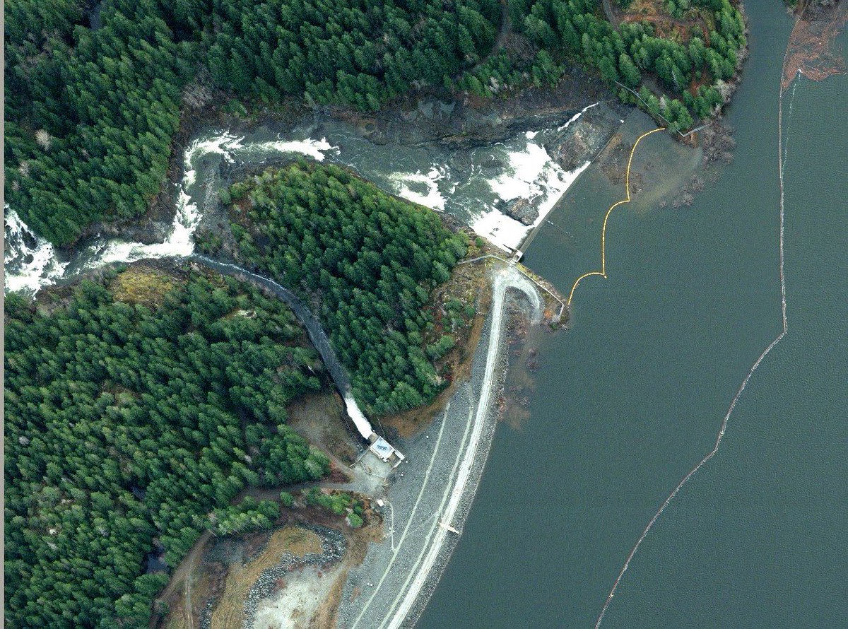 SWatson_BCH's tweet photo. Elsie Lake reservoir has risen 7 metres in ~4 days. Big water. This a.m. water began to free-spill over the dam's spillway. #BCStorms #AshRiver
@alberniweather https://t.co/OutTIRRQs1