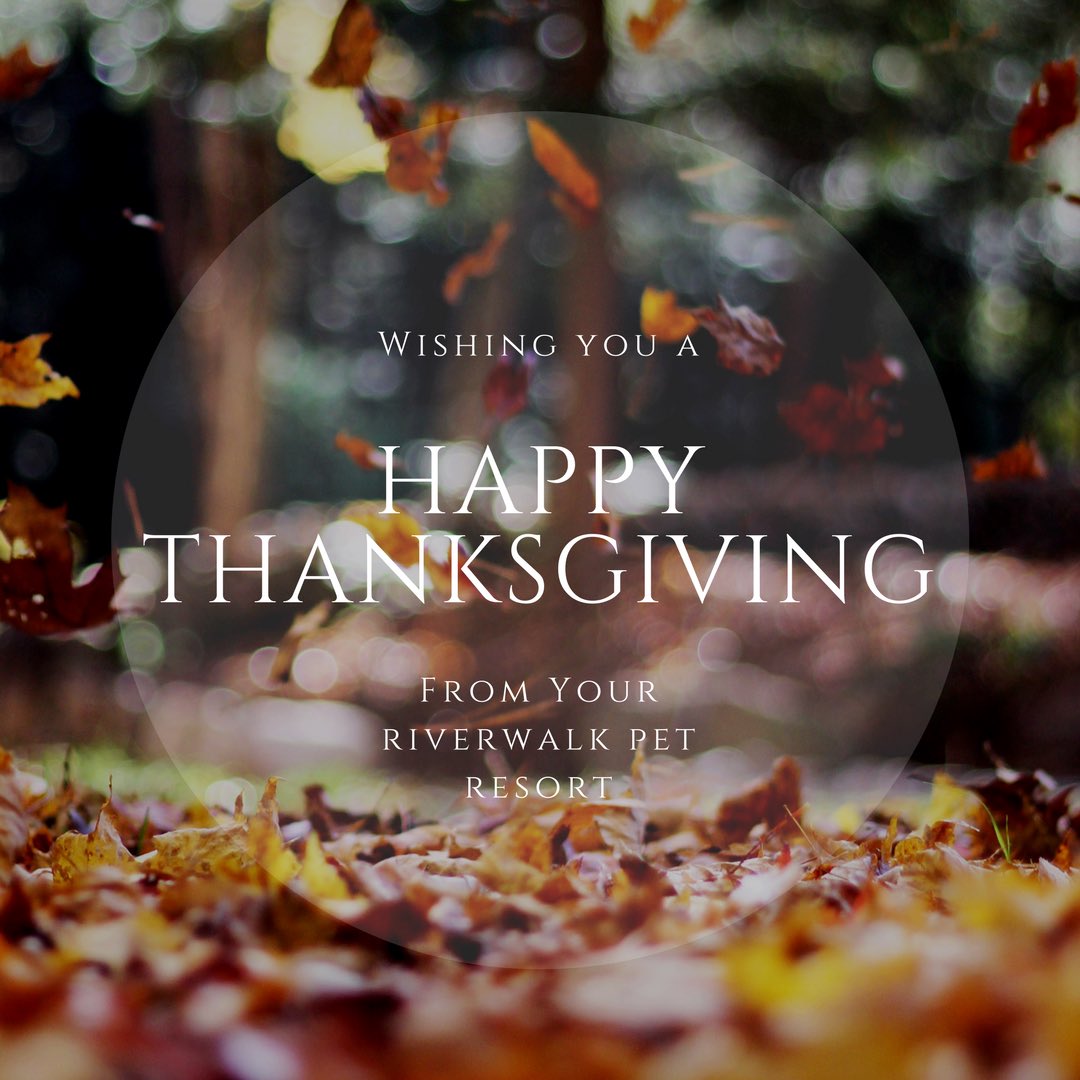Riverwalkpets's tweet photo. Thankful for the amazing animals we love so much 🧡🐾🐶🐰🐱🍂💛 https://t.co/goKKlSPznq