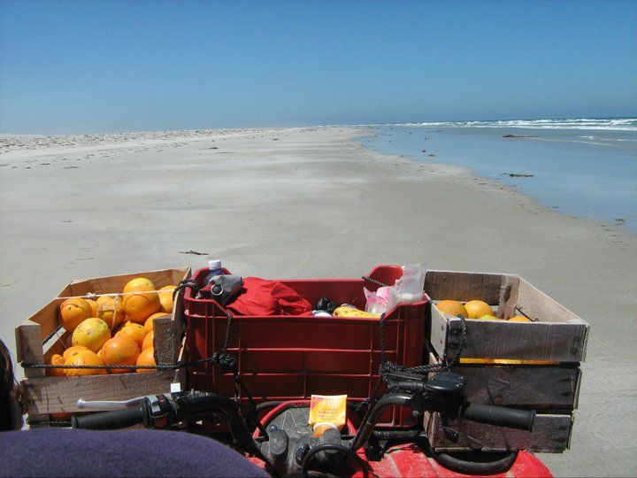 BoomerangForEar's tweet photo. #TBT
The time we used 1000 oranges to investigate stranding patterns of endangered species caught accidentally in artesanal fishing nets
#Technology1.0 #Bycatch #Strandings #WorkingWithFishermen #Conservation https://t.co/D6cCOprCiN