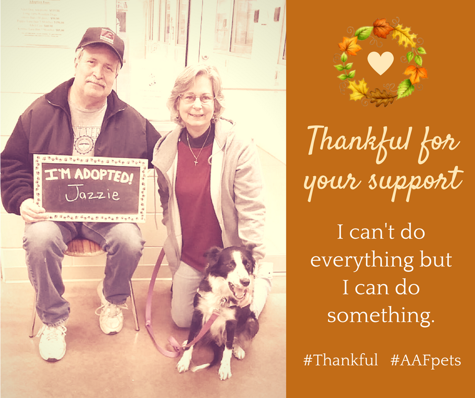 AAFPets's tweet image. #Thankful #AAFpets