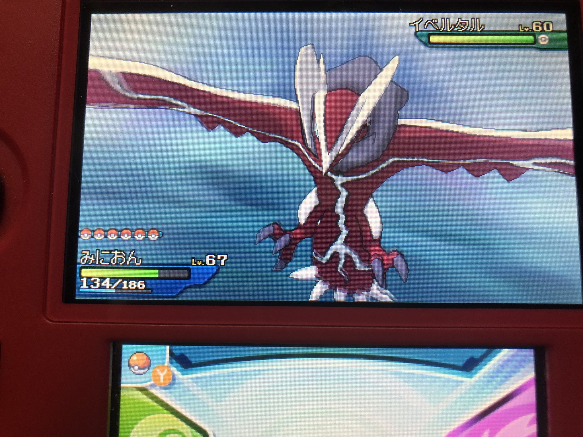 Mumei ポケモン垢 色違いイベルタルでました 回数は数えて無かったけど６時間くらいかかったかな とりあえず好きな伝説の色違い嬉しかったです ポケットモンスターウルトラサンムーン 色違いポケモン イベルタル 祝ってくれる人rtかいいね
