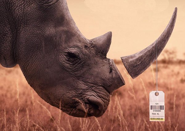 Exclusive Q&amp;A clip from @TrophyTheFilm #TrophyDebate #TrophyTheFilm flickeringmyth.com/2017/11/exclus…