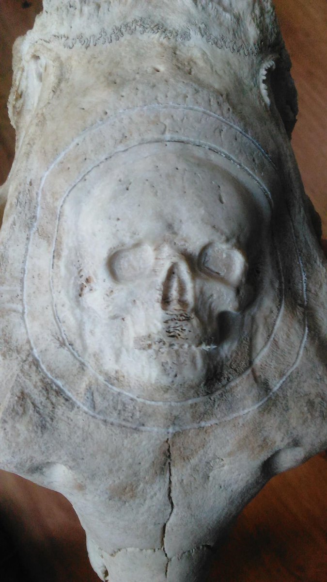 JungKatzBlog's tweet image. Interview with Rich Digiovanni, the Skull Carving Artist behind Skulls 4 All ow.ly/aM9530gLWpK