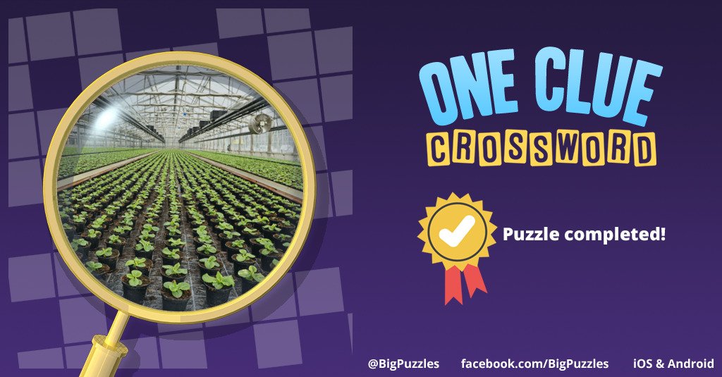 feblisafe's tweet image. I completed a puzzle in One Clue Crossword. Play now for free!
onecluecrossword.com #OneClueCrossword