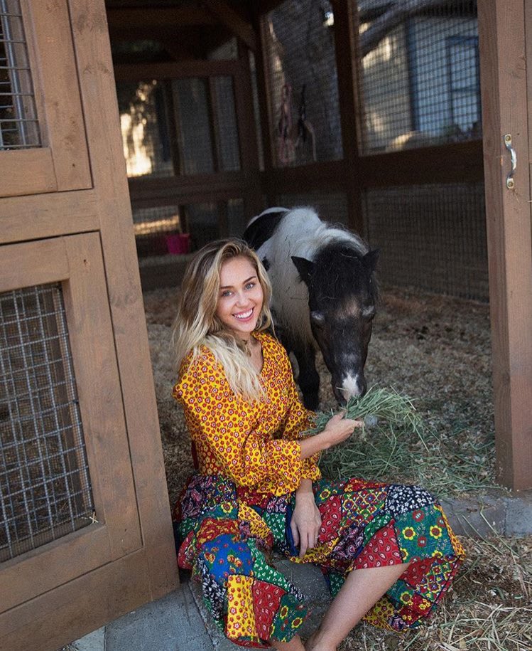 TeamCyrusBG's tweet photo. .@mileycyrus Happy birthday, you beautiful soul ❤️❤️❤️ forever thankful for the immense love, kindness, authenticity and positivity you teach us every day.  Here's to one of the best humans ever born on this planet 🥂🌞🌈 https://t.co/MjuHgKOIPB