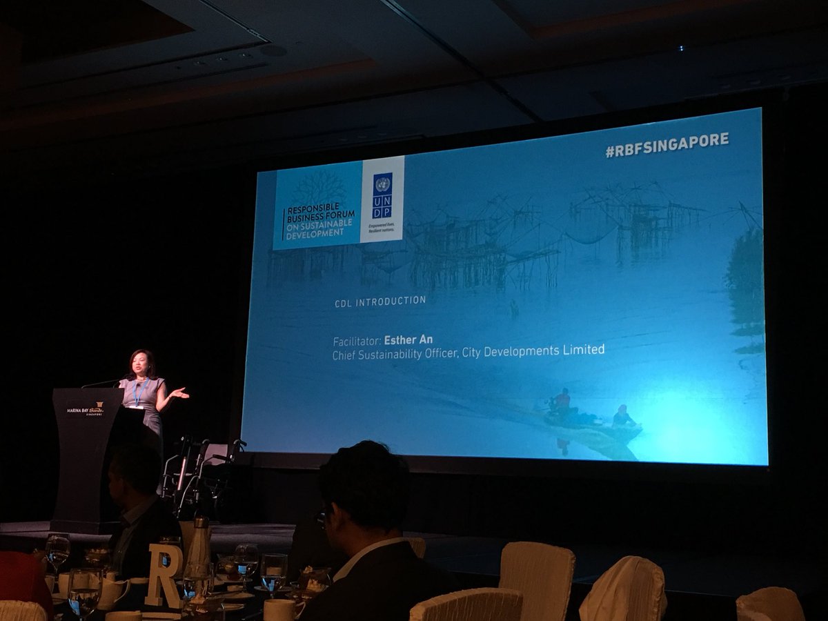 kellyseratelier's tweet photo. Happy to be invited to attend the Responsible Business Forum on Sustainable Development 2017 this week. 

Achieving the 17 SDGs by 2030 seems like an uphill climb - but if we don’t start today we will be one day further from reaching the target. #RBFSingapore2017 #undp https://t.co/uJIAp06IvI