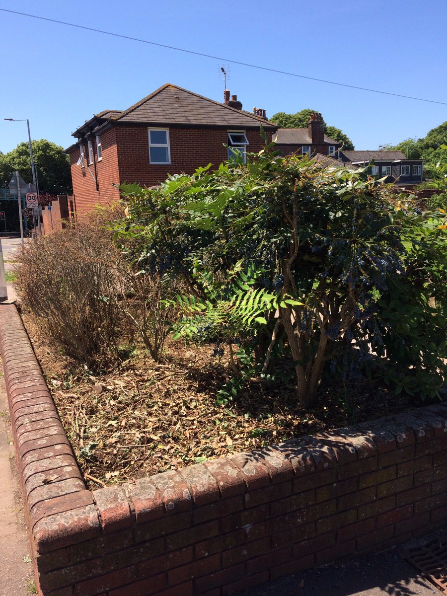 wonfordplanters's tweet image. Hard graft brings good results Burnthouse Lane @ExeterCouncil @wonfordplanters #Flowers #gardening