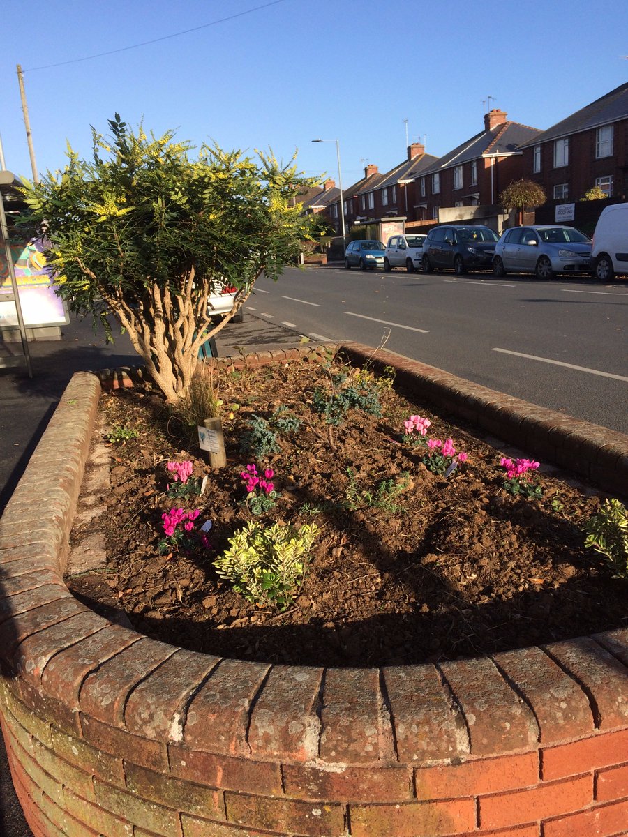 wonfordplanters's tweet image. Hard graft brings good results Burnthouse Lane @ExeterCouncil @wonfordplanters #Flowers #gardening