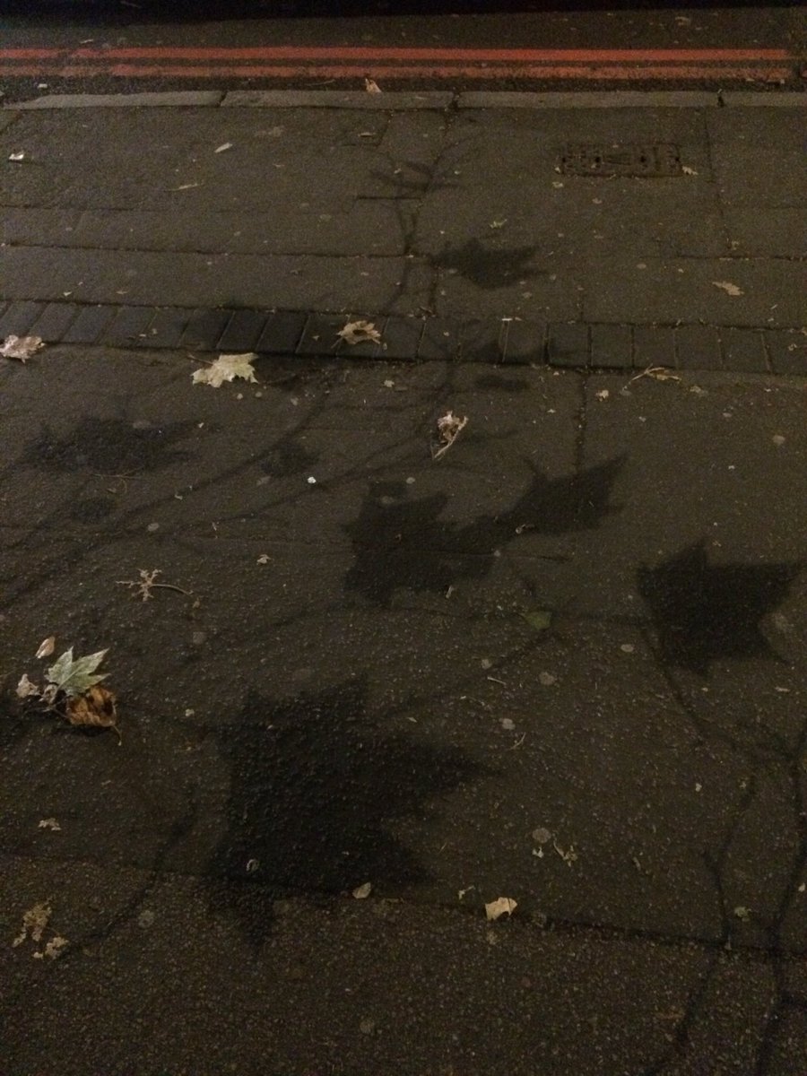 Sylindria's tweet photo. #LeafShadow #London #Autumn #leaves https://t.co/ej3WIMFKFv